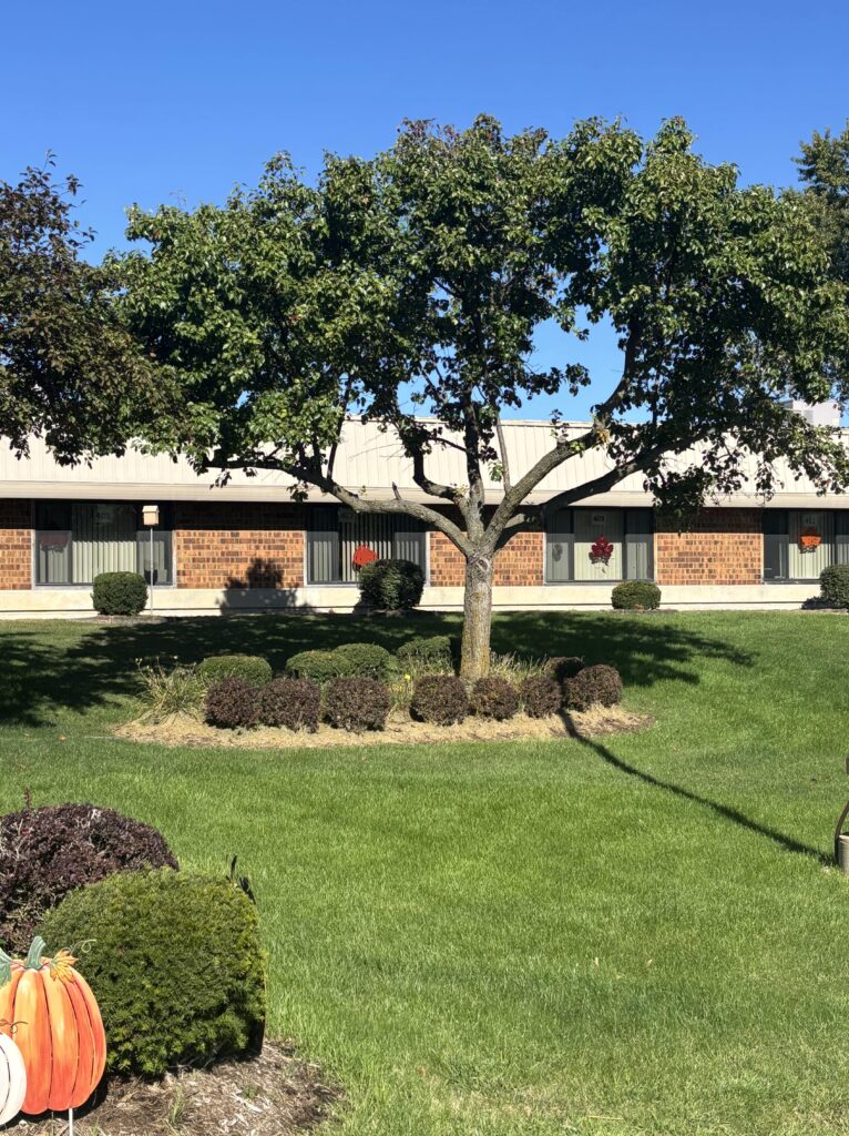 Exterior Alpine fireside