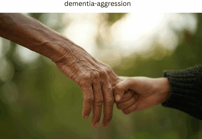 Managing Dementia Aggression and Agitation: Caregiver’s Guide | Rockford, IL | Alpine Fireside