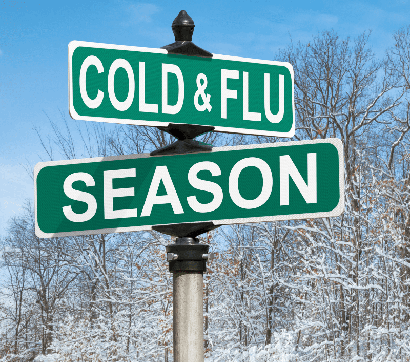 Flu and COVID Safety for Seniors Winter 2026 | Rockford IL | Alpine Fireside